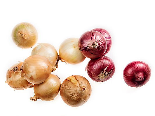 포토 JPG 스튜디오촬영 채소 스튜디오 양파 실내 누끼 사람없음 여러개 적양파 국내포토 다수 내부 파일형식