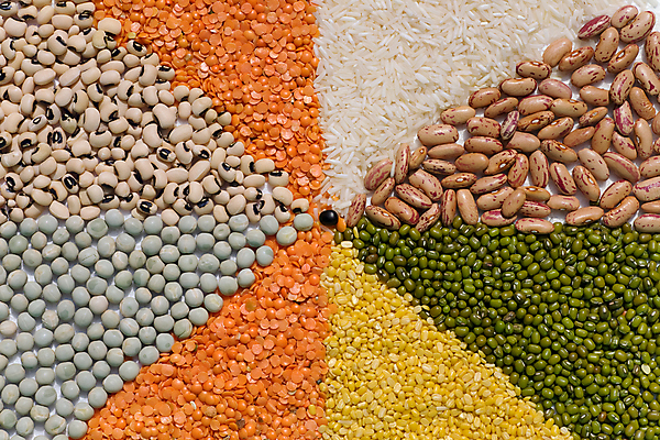 포토 JPG 해외이미지 식물 선 음식 조각 백그라운드 패턴 채소 오렌지 재료 밥 콩 건조 종류 씨앗 사람없음 초록색 줄무늬 그룹 신장 닫기 혼합 낟알 수집 먹기 유기농 질감 완두콩 날것 모음 강낭콩 대각선 내추럴 대두 병아리콩 생식 섞기 식용 줄서기 채식주의자 해외202004 해외포토 웰빙 컬러 무늬 과일 모션 곡류 비뇨기관 채식 파일형식 이미지허브