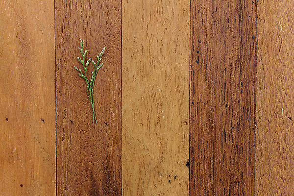 포토 JPG 해외이미지 디자인 꽃 벽 백그라운드 패턴 자연 벽지 미술 사람없음 목재 갈색 수확 나뭇가지 판넬 널 낟알 질감 복고 내추럴 수목 옛날 해외202004 해외포토 나무 식물 컬러 무늬 농업 재료 문화예술 생태계 파일형식 이미지허브