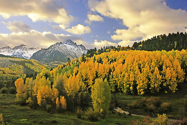 포토 JPG 해외이미지 나무 도로 잎 오렌지 자연 하늘 산 풍경 사람없음 야외 초록색 파란색 컬러풀 노란색 미국 가을 소나무 개울 황무지 숲 먼지 지역 나누기 절정 콜로라도 해외202004 해외포토 식물 계절 길 컬러 북아메리카 과일 교통시설 강 수학 생태계 사칙연산 파일형식 이미지허브