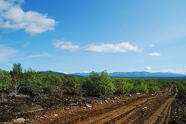 포토 JPG 해외이미지 구름 도로 잎 자연 산 풍경 사람없음 야외 초록색 여름 바퀴자국 언덕 먼지 진흙 방법 해외202004 해외포토 자연요소 식물 계절 길 컬러 교통시설 자국 생태계 파일형식 이미지허브