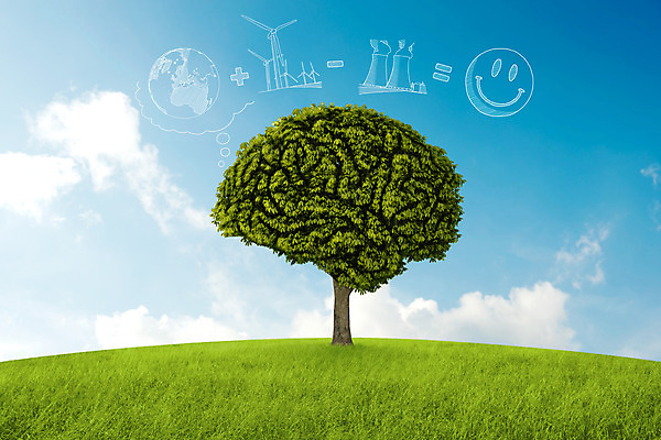 포토 JPG 해외이미지 모양 나무 식물 생각 밭 자연 하늘 굴뚝 미소 사람없음 초록색 환경 정원 연기 언덕 뇌 수평선 해외202004 해외포토 컬러 농업 표정 생태계 파일형식 이미지허브