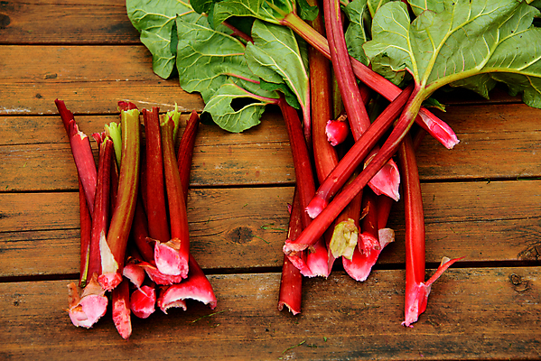 포토 JPG 해외이미지 잎 채소 과일 사람없음 야외 여름 농작물 정원 수확 신선 청소 준비 원예 해외202004 해외포토 식물 계절 농업 취미 파일형식 이미지허브