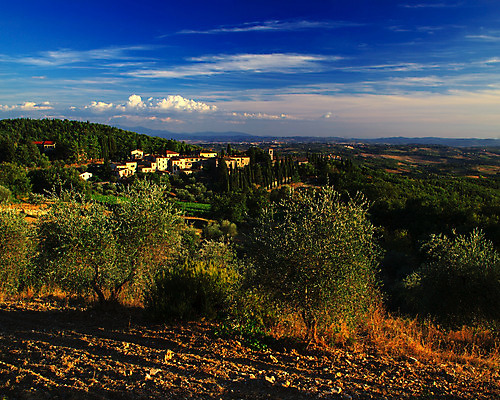 포토 JPG 해외이미지 나무 구름 유럽 도로 백그라운드 밭 농업 자연 하늘 휴가 주택 파노라마 풍경 사람없음 야외 초록색 여름 빛 햇빛 농가 농장 농경지 평화 일출 정원 일몰 놀람 봄 이탈리아 새벽 안개 시골 신비 언덕 그림 올리브 포도밭 뿌연 시에나 토스카나 수평선 해외202004 해외포토 자연요소 식물 계절 열매 감정 나라 산업 길 컬러 컨셉 교통시설 날씨 촬영기법 표정 건물 태양 노을 생태계 파일형식 이미지허브