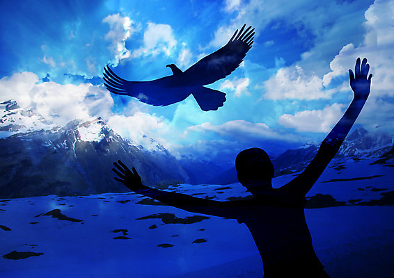 포토 JPG 해외이미지 구름 디자인 실루엣 종교 날개 자연 벽지 하늘 휴식 새로움 사람 풍경 사람없음 파란색 빛 평화 성경 희망 힘 자유 비행 기다림 우아함 깃털 독수리 대머리 귀족 단아함 무료 힘찬 해외202004 해외포토 자연요소 헤어스타일 감정 컬러 컨셉 종교용품 모션 조류 촬영기법 생태계 파일형식 이미지허브