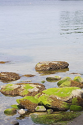 포토 JPG 해외이미지 계절 공원 모래 바다 여행 백그라운드 캐나다 자연 하늘 휴가 휴식 영국 풍경 사람없음 야외 물 여름 햇빛 환경 서핑 황무지 콜롬비아 내추럴 벤쿠버 해외202004 해외포토 자연요소 공공시설 유럽 컨셉 북아메리카 태양 수상스포츠 남아메리카 생태계 파일형식 이미지허브