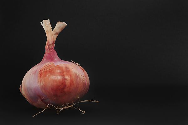 포토 JPG 해외이미지 식물 도로 조각 채소 과일 부분 사람없음 빨간색 쌓기 보라색 수확 껍질 흰색 최고 그룹 달콤 향신료 날것 슬라이스 뿌리 광택 숙성 채식주의자 비건 해외202004 해외포토 길 컬러 농업 교통시설 모션 맛 채식 향미료 파일형식 이미지허브