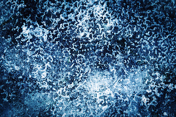 포토 JPG 해외이미지 디자인 계절 호수 백그라운드 겨울 패턴 자연 표면 추상 사람없음 야외 장식 물 파란색 반사 냉동 얼음 추위 흰색 닫기 크리스탈 질감 서리 웅덩이 내추럴 땅바닥 취급주의 해외202004 해외포토 자연요소 컬러 무늬 모션 바닥 경고 광석 생태계 파일형식 이미지허브