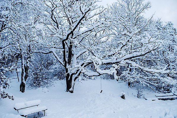 포토 JPG 해외이미지 나무 계절 공원 백그라운드 크리스마스 겨울 벤치 자연 하늘 산 풍경 사람없음 야외 목재 파란색 빛 냉동 얼음 검은색 펼침 추위 흰색 나뭇가지 숲 시원함 그네 서리 장면 내추럴 눈내림 해외202004 해외포토 자연요소 식물 공공시설 기념일 컬러 의자 재료 모션 눈_날씨 생태계 파일형식 이미지허브