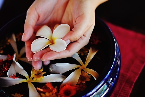 포토 JPG 해외이미지 손 꽃 들기 신체부위 물 수건 스파 손모으기 대야 해외포토 자연요소 식물 모션 사람 손짓 위생용품 파일형식 이미지허브