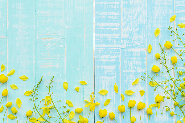 포토 JPG 해외이미지 나무 식물 디자인 꽃잎 꽃 분홍색 꽃다발 결혼 백그라운드 컨셉 꽃무늬 자연 탁자 부활절 새로움 사랑 사람없음 목재 장식 여름 우주 봄 수확 벚꽃 흰색 나뭇가지 시골 신선 개화 선택 정상 5월 다발 원예 내추럴 옛날 해외202004 해외포토 계절 기념일 감정 컬러 가구 무늬 농업 재료 이벤트 취미 날짜 생태계 파일형식 이미지허브