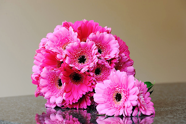 포토 JPG 해외이미지 꽃잎 꽃 분홍색 꽃다발 결혼 꽃무늬 결혼식 사랑 사람없음 활발 벚꽃 신선 우아함 다발 배열 강렬 정중 해외202004 해외포토 식물 감정 컬러 컨셉 무늬 이벤트 파일형식 이미지허브