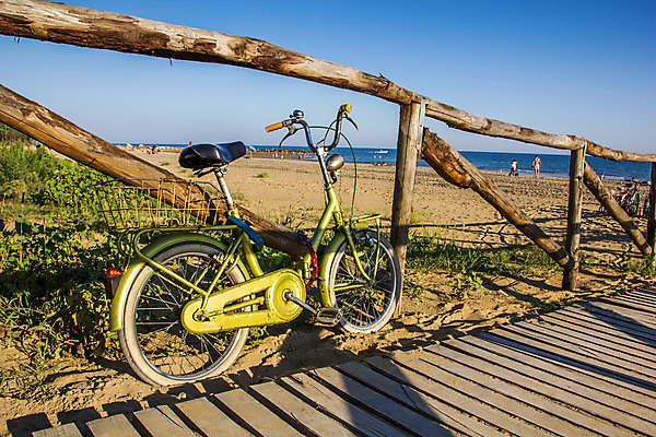 포토 JPG 해외이미지 나무 도로 길 모래 바다 여행 자연 하늘 휴가 풍경 사람없음 야외 물 여름 파란색 햇빛 태양 평화 맑음 자전거 수확 휴양지 복고 방법 수평선 해외202004 해외포토 자연요소 식물 계절 컬러 컨셉 농업 교통시설 날씨 바이크 장소 생태계 파일형식 이미지허브