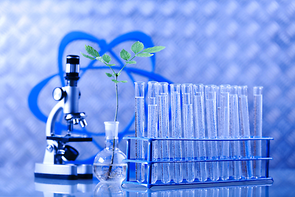 포토 JPG 해외이미지 식물 실내 현미경 실험 사람없음 액체 화학 실험실 플라스크 시험관 파란배경 비커 화학실험 시험관대 해외202004 해외포토 과학 백그라운드 실험기구 내부 파란색 파일형식 이미지허브
