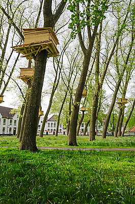 포토 JPG 해외이미지 나무 식물 유럽 조각 여행 건축양식 자연 하늘 휴가 주택 그림자 미술 풍경 사람없음 야외 건물 목재 초록색 물 햇빛 노란색 평화 정원 흰색 도시 역사 운하 벨기에 내추럴 미루나무 옛날 해외202004 해외포토 자연요소 건축물 건축 나라 컬러 컨셉 재료 문화예술 태양 생태계 서유럽 파일형식 이미지허브