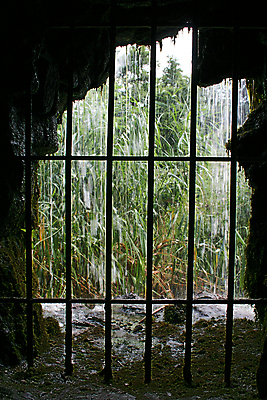 포토 JPG 해외이미지 식물 사람없음 초록색 물 정원 폭포 바 동굴 숲 아래 이국적 해외202004 해외포토 자연요소 컬러 자연 방향 위치 파일형식 이미지허브