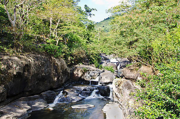 포토 JPG 해외이미지 나무 식물 공원 잎 모션 태국 자연 휴식 풍경 사람없음 초록색 물 강 놀람 봄 활발 폭포 젖음 흐름 추위 가을 신선 개울 숲 시원함 순수 즐거움 천국 이국적 파라다이스 해외202004 해외포토 자연요소 계절 공공시설 감정 아시아 컬러 컨셉 표정 생태계 파일형식 이미지허브