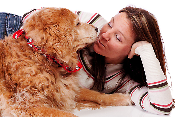 포토 JPG 해외이미지 동물 백인 여자 포유류 털 사랑 한명 성인 반려동물 금발 개 골든리트리버 모피 흰배경 주인 송곳니 고립 기르기 복종 해외202004 해외포토 서양인 1 헤어스타일 감정 백그라운드 사람 흰색 리트리버 치아 돌봄 파일형식 이미지허브