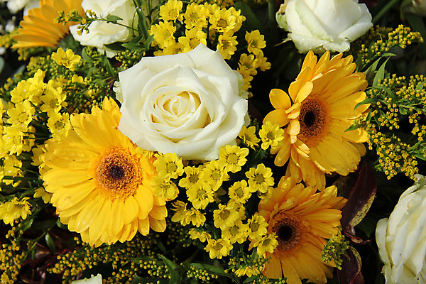 포토 JPG 해외이미지 식물 꽃잎 꽃 꽃다발 자연 사람없음 초록색 여름 장미 노란색 봄 흰색 배열 꽃집 질감 거베라 해외202004 해외포토 계절 컬러 상점 생태계 파일형식 이미지허브