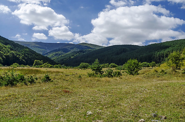 포토 JPG 해외이미지 나무 식물 계절 유럽 낙엽 잎 자연 하늘 산 파노라마 풍경 사람없음 목재 초록색 여름 환경 활발 소나무 숲 언덕 연 침엽수 불가리아 섞기 해외202004 해외포토 나라 컬러 컨셉 재료 촬영기법 놀이용품 생태계 파일형식 남유럽 이미지허브