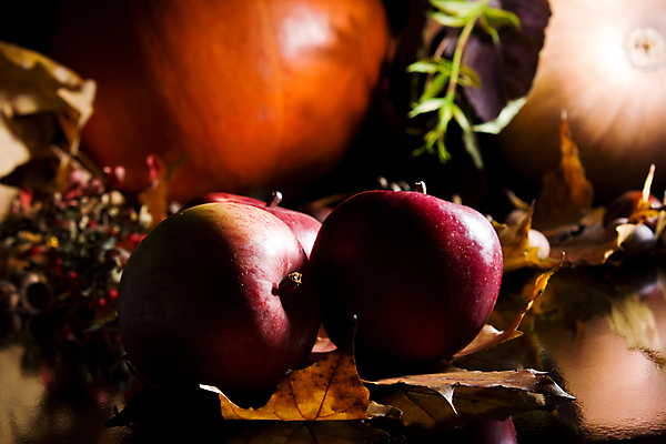 포토 JPG 해외이미지 전통 계절 음식 잎 과일 자연 호박 검은배경 휴가 건강 씨앗 사람없음 식사 수확 가을 축하 떨어짐 사과 11월 먹기 박 성분 추수감사절 10월 포상금 많음 해외202004 해외포토 식물 기독교 백그라운드 컨셉 돈 농업 채소 모션 검은색 날짜 생태계 파일형식 이미지허브