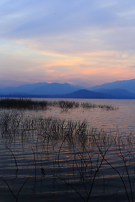 포토 JPG 해외이미지 나무 계절 실루엣 아시아 호수 낙엽 밭 태국 자연 하늘 동양인 풍경 사람없음 야외 빨간색 파란색 빛 햇빛 태양 노란색 우주 일출 검은색 황혼 일몰 새벽 추위 광선 가을 흰색 나뭇가지 죽음 연못 소나무 저녁 장면 설정 평야 생존 수평선 해외202004 해외포토 자연요소 식물 나라 컬러 잎 농업 촬영기법 인종 노을 야간 생태계 파일형식 이미지허브