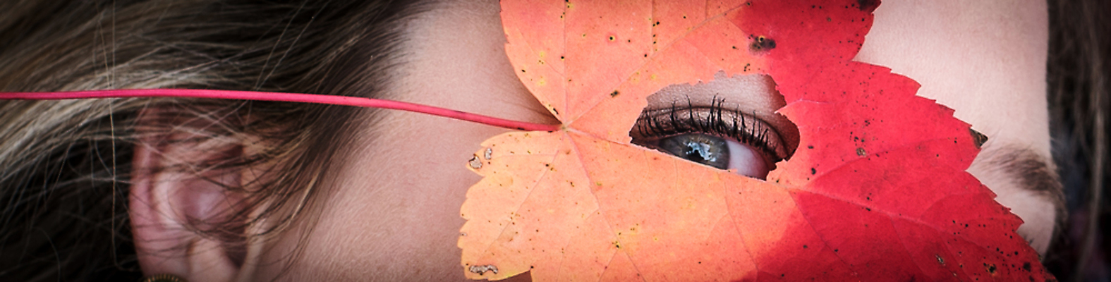 포토 JPG 해외이미지 학생 응시 계절 단풍 잎 자연 가면 사람없음 빨간색 가을 관찰 닫기 속눈썹 엿보기 코 시력 비전 붓꽃 노려봄 숨기 스파이 해외202004 해외포토 식물 시선 꽃 컬러 모션 표정 신체부위 눈썹 생태계 파일형식 이미지허브