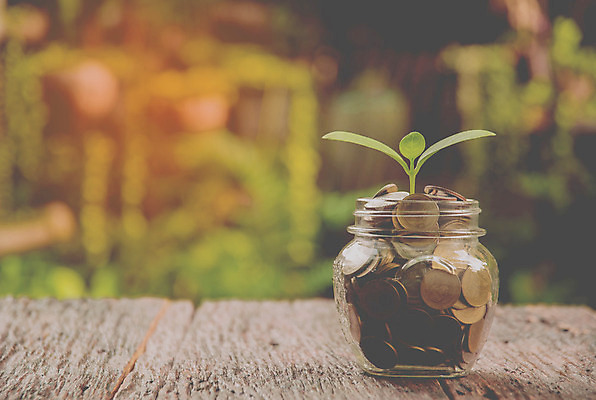 포토 JPG 해외이미지 나무 식물 백그라운드 컨셉 잎 돈 비즈니스 자연 유리 탁자 성공 주택 이야기 사람없음 초록색 금융 경제 쌓기 동전 저축 성장 항아리 투명 재산 황금 주식 심볼 투자 슬라이드 해외202004 해외포토 컬러 가구 모션 재질 건물 도자기 생태계 파일형식 이미지허브