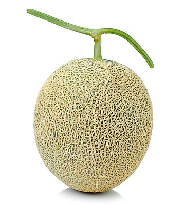 포토 JPG 해외이미지 1 음식 조각 백그라운드 다이어트 채소 오렌지 과일 건강 사람없음 초록색 물 흰색 신선 달콤 멜론 싱글 날것 숙성 해외202004 해외포토 자연요소 컬러 맛 파일형식 이미지허브