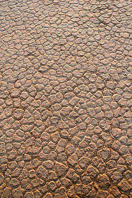 포토 JPG 해외이미지 디자인 지구 모래 백그라운드 컨셉 패턴 농업 자연 표면 날씨 추상 건조 풍경 사람없음 글로벌 환경 흙 사막 성장 죽음 뜨거움 거친 균열 땅 묘사 부식 질감 먼지 점토 지역 진흙 가뭄 내추럴 그런지 깨짐 땅바닥 생태학 요르단 지질학 해외202004 해외포토 교육 산업 무늬 중동 모션 바닥 생태계 파일형식 이미지허브