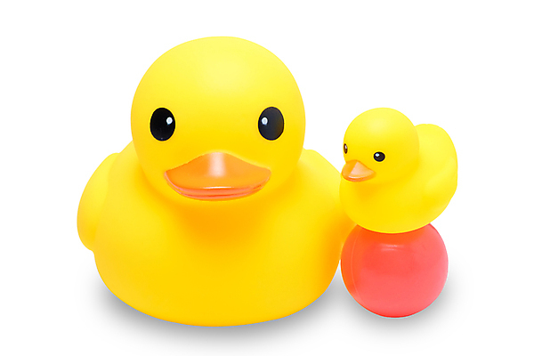 포토 JPG 해외이미지 동물 어린이 백그라운드 오렌지 놀이 조류 오리 사람없음 물 장난감 노란색 소리 목욕 욕실 흰색 아기 빨래 플라스틱 오브젝트 부리 고무 고립 샤워실 해외202004 해외포토 자연요소 컬러 가사 과일 재질 사람 청결 샤워시설 파일형식 이미지허브