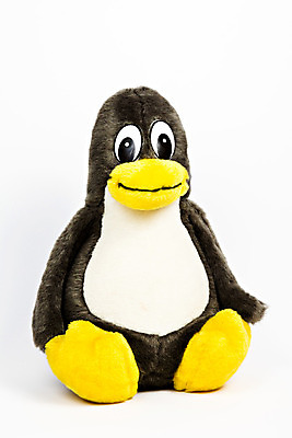 포토 JPG 해외이미지 동물 캐릭터 바다 컨셉 자연 조류 사람없음 장난감 얼음 검은색 추위 흰색 상품 시원함 오브젝트 만족 펭귄 부리 봉 폭식 고립 해외202004 해외포토 자연요소 감정 컬러 생태계 파일형식 이미지허브