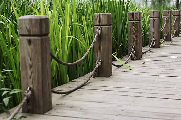 포토 JPG 해외이미지 식물 공원 도로 길 백그라운드 잎 곡선 자국 자연 거리 안내 사람없음 야외 목재 초록색 물 산책 산책로 하이킹 젖음 광선 분위기 습지 널 갑판 내추럴 지그재그 철책 해외202004 해외포토 자연요소 나무 공공시설 선 컬러 컨셉 배_교통 재료 교통시설 레저 휴식 생태계 파일형식 이미지허브