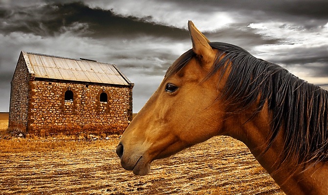포토 JPG 해외이미지 동물 구름 컨셉 농업 건축양식 자연 하늘 벽돌 주택 창조 풍경 사람없음 야외 건물 농가 농장 농경지 환경 어둠 시골 죽음 역사 호주 땅 버리기 폭풍 가뭄 어려움 옛날 오리지널 오지 해외202004 해외포토 자연요소 건축물 건축 산업 모션 날씨 오세아니아 생태계 파일형식 이미지허브