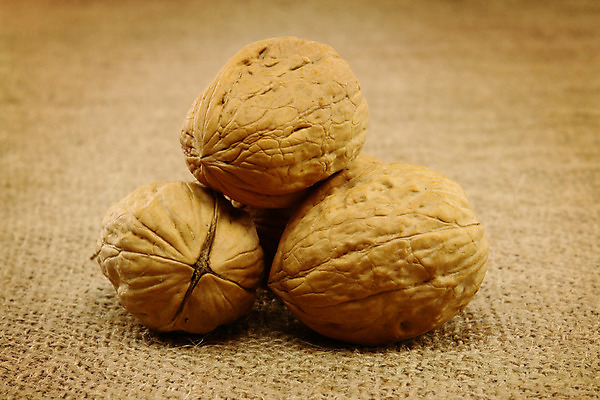 포토 JPG 해외이미지 음식 농업 과일 재료 자연 건조 건강 사람없음 갈색 쌓기 견과류 껍질 가을 그룹 맛 먹기 삼베 유기농 날것 호두 자루 내추럴 해외202004 해외포토 웰빙 계절 산업 컬러 컨셉 모션 생태계 파일형식 천_직물 이미지허브