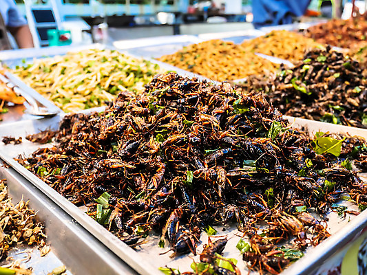 포토 JPG 해외이미지 동물 전통 아시아 문화 도로 음식 곤충 백그라운드 태국 자연 거리 건강 요리 동양인 사람없음 검은색 식사 에너지 튀김 시장 벌레 유기농 방콕 메뚜기 귀뚜라미 단백질 식용 이국적 해외202004 해외포토 웰빙 나라 길 컬러 교통시설 인종 생태계 영양소 파일형식 이미지허브