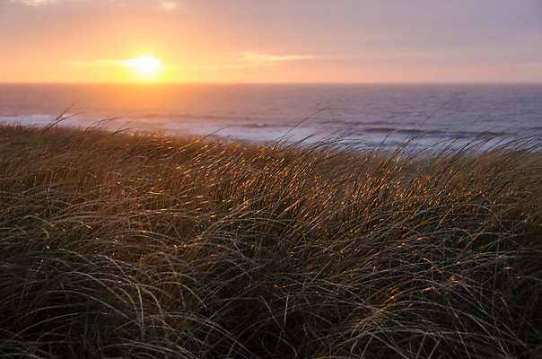 포토 JPG 해외이미지 식물 구름 계절 파도 바다 백그라운드 겨울 오렌지 자연 벽지 하늘 아침 바람 날씨 풍경 사람없음 빨간색 물 파란색 빛 컬러풀 햇빛 태양 반사 노란색 일출 황혼 일몰 새벽 광선 황금 저녁 마법 천국 내추럴 수평선 해외202004 해외포토 주간 자연요소 컬러 과일 노을 야간 생태계 파일형식 이미지허브