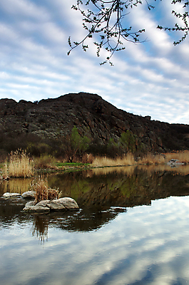 포토 JPG 해외이미지 나무 계절 공원 도로 단풍 자연 아침 풍경 사람없음 야외 여름 빛 울타리 햇빛 태양 일출 맑음 어둠 일몰 새벽 하이킹 안개 광선 가을 나뭇가지 소나무 영혼 숲 마법 남쪽 내추럴 뿌연 우크라이나 웅장함 가문비나무 해외202004 해외포토 주간 자연요소 식물 공공시설 유럽 길 잎 교통시설 레저 날씨 담장 노을 방향 생태계 파일형식 이미지허브