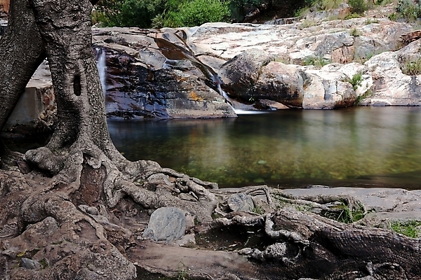 포토 JPG 해외이미지 나무 식물 잎 자연 산 풍경 사람없음 야외 물 강 햇빛 폭포 가을 개울 황무지 숲 열대우림 뿌리 암초 해외202004 해외포토 자연요소 계절 태양 생태계 파일형식 이미지허브