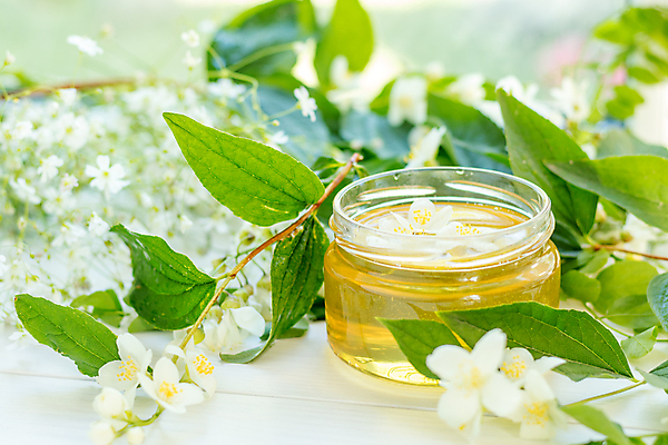 포토 JPG 해외이미지 나무 꽃 문화 유리 탁자 사람없음 노란색 봄 벚꽃 나뭇가지 시골 항아리 투명 개화 황금 붓기 차 달콤 냄비 먹기 향 꿀 아카시아 해외202004 해외포토 식물 계절 음료 컬러 가구 모션 재질 도자기 맛 솥 파일형식 이미지허브