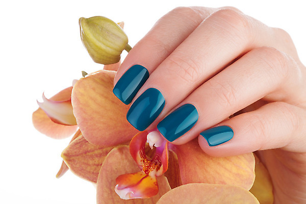 포토 JPG 해외이미지 손 꽃 캠페인 크리스마스 손가락 휴가 새로움 사람없음 초록색 파란색 빛 컬러풀 장난감 유행 페인트 화장품 덮개 축하 못 손톱관리 손톱 연도 광택 개선 니스 돌봄 아크릴 해외202004 해외포토 식물 기념일 컬러 컨셉 모션 재질 신체부위 뷰티 뚜껑 공구 네일아트 파일형식 이미지허브