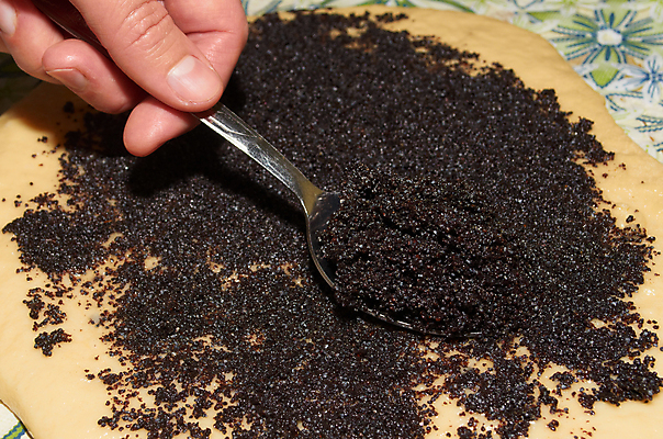 포토 JPG 해외이미지 손 음식 디저트 주택 요리 사람없음 과자 케이크 주방 숟가락 식탁보 업무 달콤 설탕 굽기 준비 날것 반죽 만들기 밀가루 양귀비 타르트 해외202004 해외포토 꽃 빵 모션 수저 건물 신체부위 작업 맛 가루 구이 파이_빵 파일형식 이미지허브