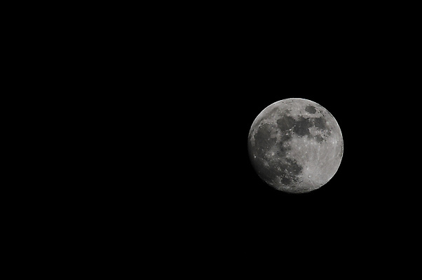 포토 JPG 해외이미지 사람없음 야외 회색 보름달 달 야간 해외202004 해외포토 자연요소 컬러 파일형식 이미지허브