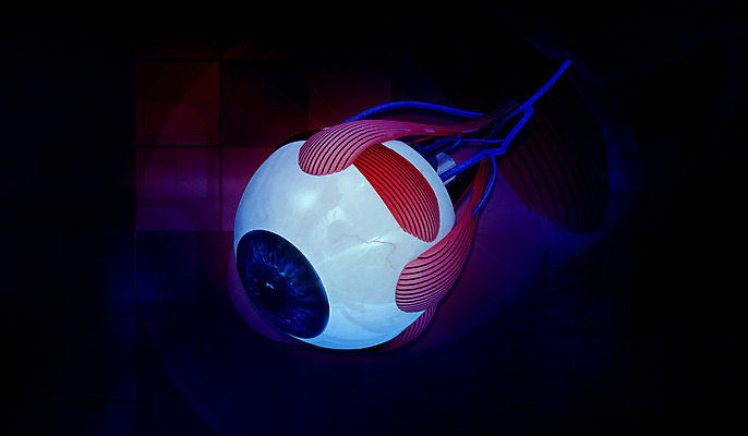 포토 JPG 해외이미지 학생 교육 과학 일러스트 해부 근육 건강 사람 사람없음 스터디 약 3D 교사 공구 도움 가르침 생물학 시력 비전 정맥 시력검사 검안사 해외202004 해외일러스트 직업 컨셉 의학 학습 도구 디지털합성 검사_조사 혈관 파일형식 안경사 이미지허브