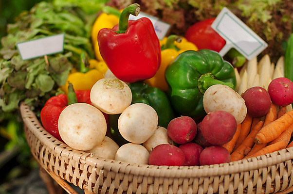 포토 JPG 해외이미지 식물 음식 농업 토마토 채소 사람없음 초록색 당근 수확 신선 내추럴 채식주의자 해외202004 해외포토 산업 컬러 뿌리채소 채식 파일형식 이미지허브