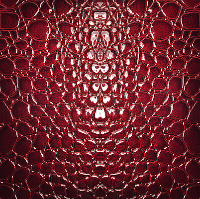 포토 JPG 해외이미지 동물 백그라운드 패턴 가방 파충류 자연 프레임 미술 사람없음 빨간색 갈색 유행 검은색 희망 핸드백 뱀 고급 가죽 피부 질감 눈금 악어 소가죽 수하물 효과 해외202004 해외포토 잡화 감정 컬러 컨셉 무늬 문화예술 신체부위 생태계 파일형식 이미지허브