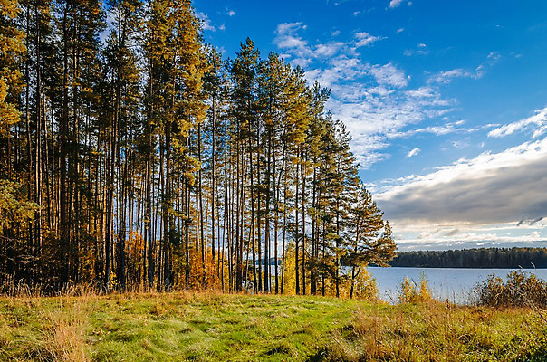 포토 JPG 해외이미지 나무 식물 구름 계절 공원 유럽 도로 호수 백그라운드 잎 자연 휴가 따뜻함 풍경 사람없음 빨간색 초록색 빛 강 컬러풀 햇빛 태양 환경 맑음 버섯 광선 가을 오픈 황금 숲 오솔길 자작나무 가문비나무 해외202004 해외포토 자연요소 공공시설 나라 길 컬러 교통시설 날씨 생태계 파일형식 이미지허브