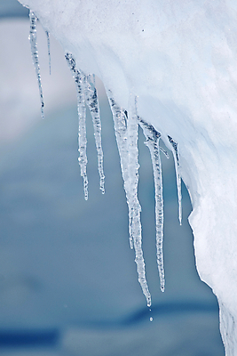 포토 JPG 해외이미지 주간 겨울 근접촬영 사람없음 야외 아웃포커스 고드름 겨울풍경 해외202004 해외포토 자연요소 계절 뷰포인트 촬영기법 풍경 얼음 파일형식 이미지허브
