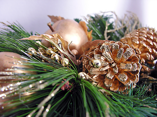 포토 JPG 해외이미지 식물 꽃 리본 백그라운드 잎 크리스마스장식 크리스마스 겨울 꽃무늬 패턴 자연 휴가 사람없음 장식 빨간색 흰색 나뭇가지 축하 화려 황금 해외202004 해외포토 나무 계절 기념일 컬러 컨셉 무늬 생태계 파일형식 이미지허브