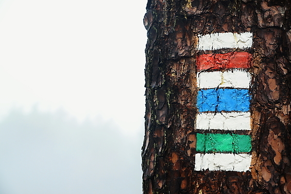포토 JPG 해외이미지 나무 길 여행 자국 자연 화살 사람없음 야외 목재 빨간색 초록색 파란색 여행객 걷기 페인트 트래킹 하이킹 정보 흰색 표지판 더위 숲 강의 방향 심볼 흔적 사인 질감 나무껍질 시스템 체코 네비게이션 루트 방법 효과 해외202004 해외포토 식물 유럽 컬러 재료 모션 레저 날씨 알림판 사람 껍질 생태계 파일형식 이미지허브